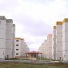 Obra Entregue Flores